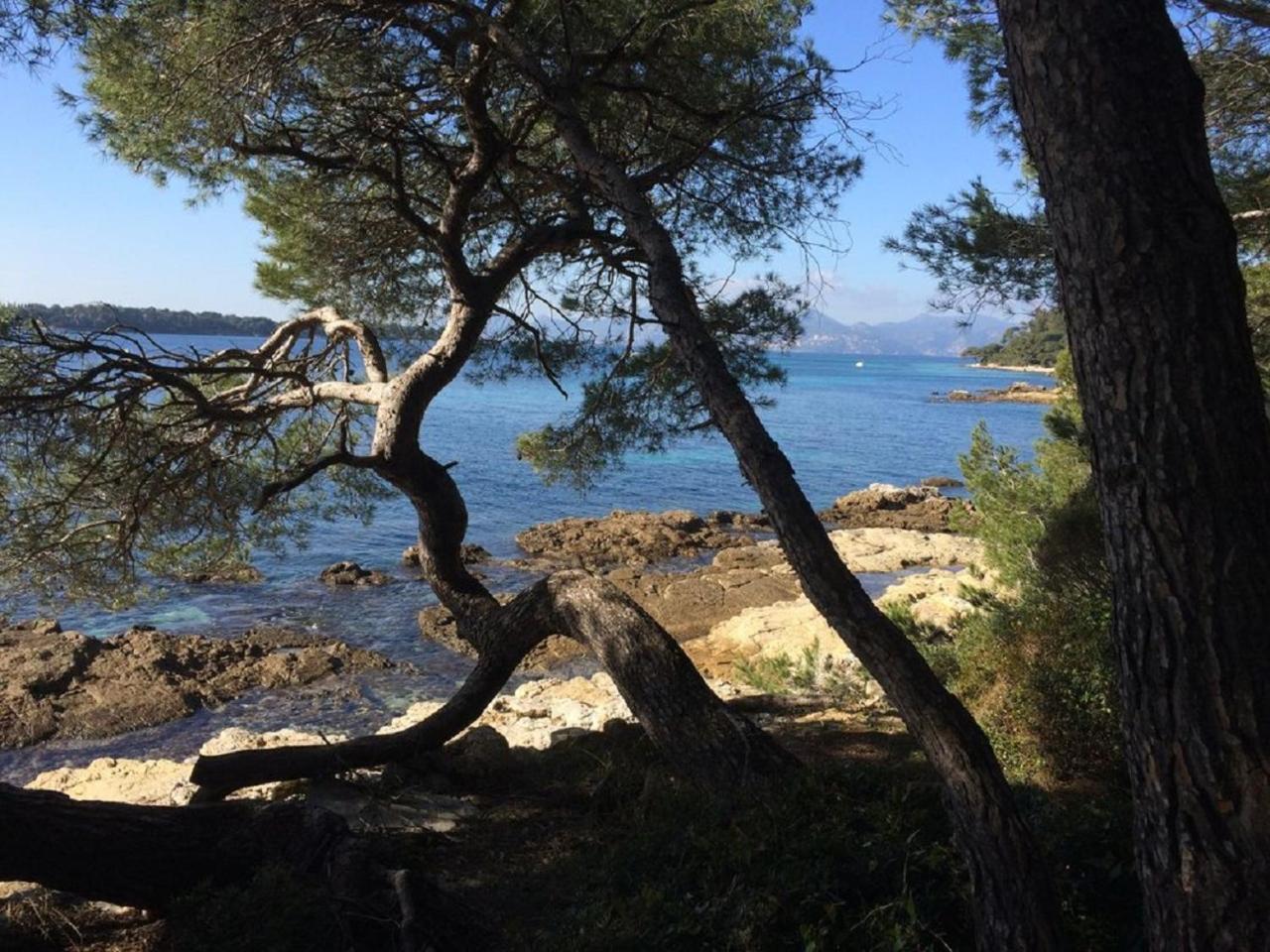 Cannes Design Vue Mer מראה חיצוני תמונה